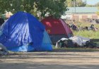 ‘Aggressive protestors’ force Saskatoon to halt encampment clean-up, city says