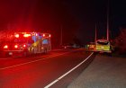 Toronto police to hold update after finding 2 bodies in burnt-out vehicles