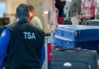 Airport X-ray reveals shocking illegal stash concealed beside passenger's Xbox