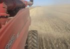 Saskatchewan harvest faces higher costs and delays