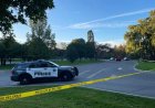 Toronto police ID second homicide victim found in burnt-out vehicle
