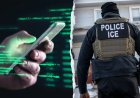 DHS tears into MS NOW after host touts ‘anti-authoritarian’ ICE monitoring group