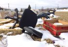 Alberta aims to crack down on illegal garbage dumping with tougher legislation