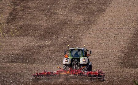 Maritime farmers hit by major drought last summer say they’re on the road to recovery