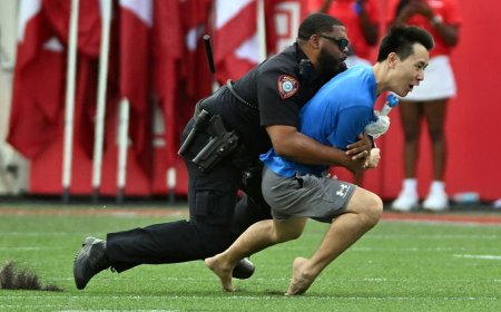 Fan runs onto field at Houston Cougars game, gets absolutely trucked by police officer
