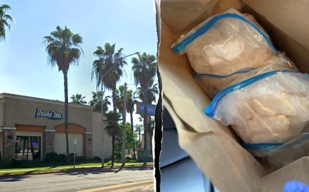 California pizza joint allegedly used as meth distribution hub as illegal immigrant charged