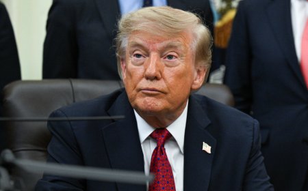 House Dems plot Trump investigation blitz if they seize majority