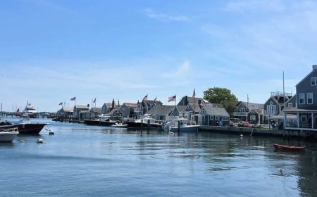 Dems descend on posh island getaway packed with deep-pocketed donors as midterms close in