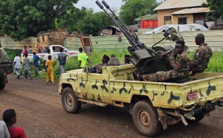Dossier Shows Sudanese Military Used Chemical Weapons during Civil War