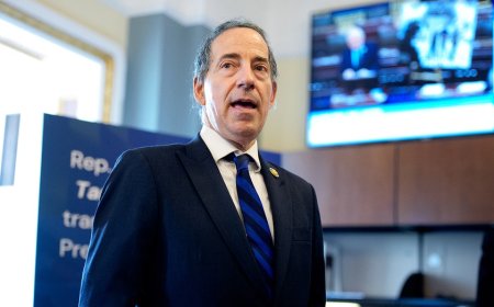Raskin calls Piker’s rhetoric 'irrelevant distraction' after the streamer said he'd vote for Hamas over Israel
