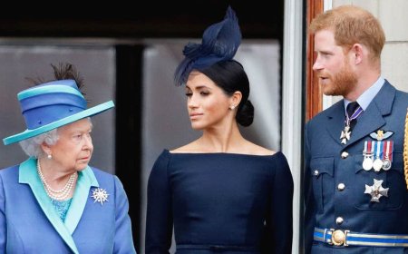 Prince Harry finds way to live ‘half-in, half-out’ life Queen Elizabeth refused to endorse: experts