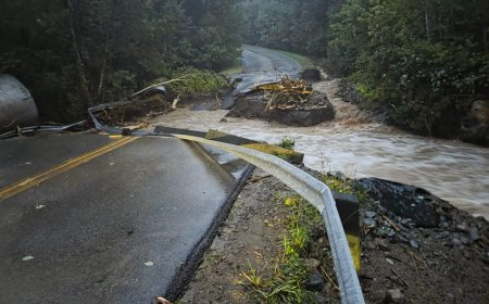 Some Cape Breton residents no longer stranded as flooding recovery continues