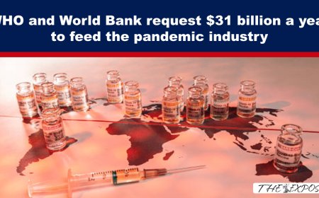 WHO and World Bank request $31 billion a year to feed the pandemic industry