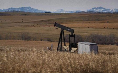 Alberta landowners challenge ‘chronic underfunding’ for orphan well cleanup
