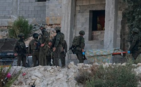 Israeli army shoots first and finds reasons to justify mass killings later, veterans group says