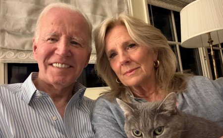 Joe Biden shares health update after prostate cancer diagnosis while issuing warning to others