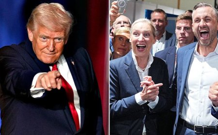 Trump hails 'really big night' for populists in German election after historic victory