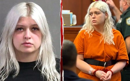 Innocent woman says police use of Flock camera led to 13 days in jail