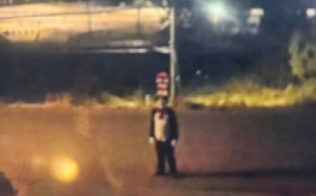 Person wearing Cat in the Hat costume chased teen: West Kelowna RCMP