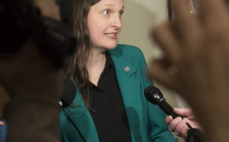 New Brunswick lawmaker Megan Mitton announces bid to lead provincial Green Party