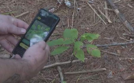 WildQuest app turns wildlife photography into a game for citizen scientists