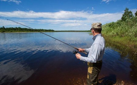 Bear tries to steal one too many fish off of fisherman's line, gets charged at with pole in hand