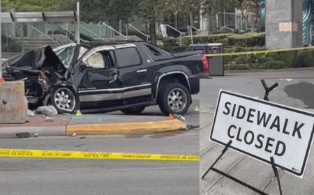 MLA calls for review after Surrey police involved in multiple collisions