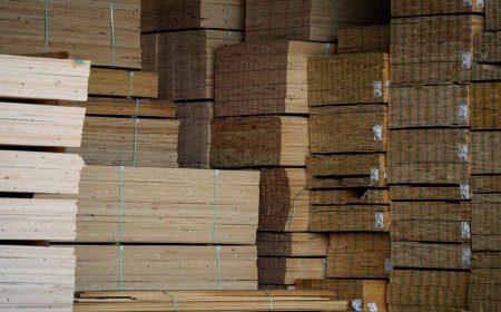 B.C. forestry industry says it’s at ‘breaking point’ in letter to Eby