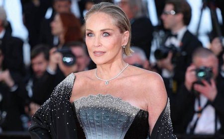 Sharon Stone says she 'nearly died' after 'Basic Instinct' opened the door to Hollywood's dark side