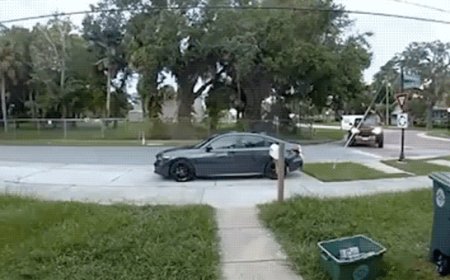 Florida woman accused of DUI crashes SUV into parked car, then makes bizarre plea to police caught on camera