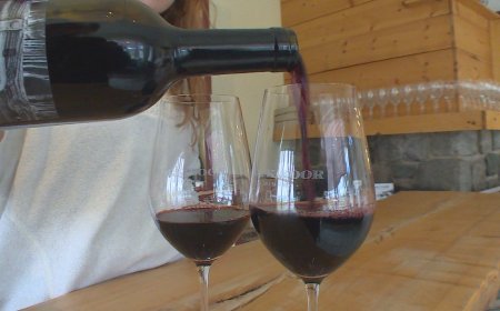 Okanagan wine producers brace for U.S. ban on Canadian alcohol imports