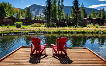 America's reddest state chases billion-dollar boom as others sour on massive emerging industry
