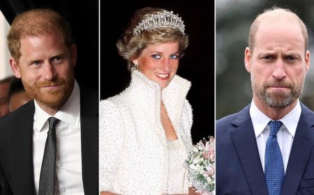 Prince Harry's rumored Diana film 'might feel like another betrayal' to Prince William as rift grows: expert