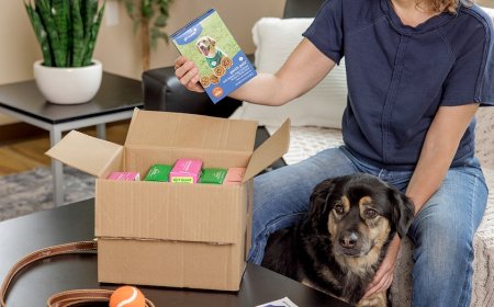 Girl Scout cookies going to the dogs as vet warns against 'unintentionally overfeeding'