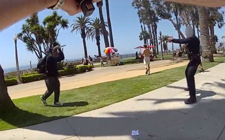 Knife-wielding man races at officer in packed seaside park before one deadly shot rings out: video