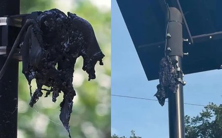 Georgia Man Arrested for ‘Melting’ Flock Surveillance Cameras with Flaming Projectile