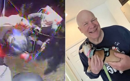 Missing 70-year-old hiker rescued after disappearing for a week in remote national park