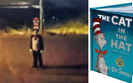 Creepy 'Cat in the Hat' trend targets schools as costumed figure allegedly chases teen girl