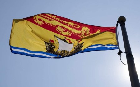 New Brunswick lawyer disbarred over professional misconduct charges