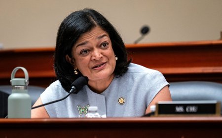 Washington Democrat claims majority of recent DHS arrestees posed 'no threat to public safety'