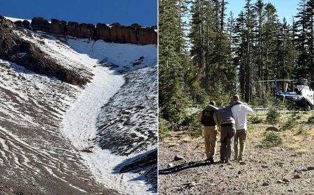 Injured climber crawls ‘through the night’ to safety after falling 500 feet down California mountain