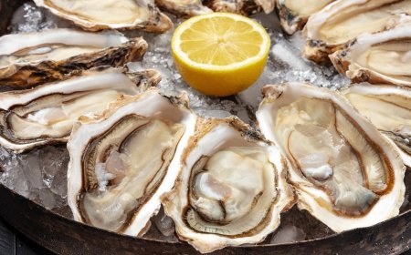 Fourth Florida resident dies after contracting flesh-eating bacteria linked to oysters