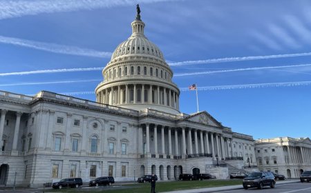 NEWT GINGRICH: Republicans can win the 2026 midterms — if they follow the plan