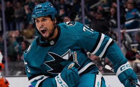 Winnipeg native Ryan Reaves retires after 16 NHL seasons