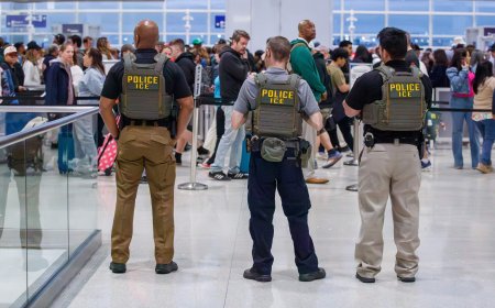 New ICE contracts for Quebec-based security firm involved with ‘Alligator Alcatraz’
