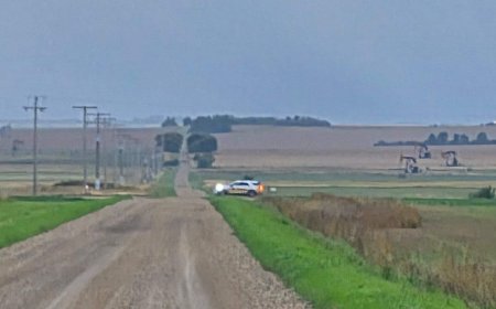 Flight training school says 2 killed in plane crash near Kisbey, Sask.