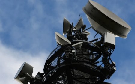RFK Jr. To Investigate Effects of Electromagnetic and Wireless Radiation on Health