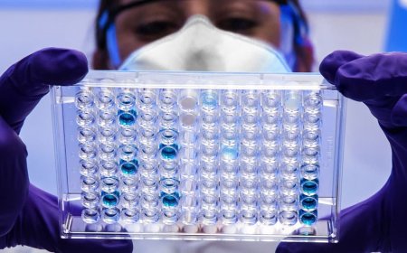 Medical Scientist Challenges Origins of Life Theory, Says DNA Points to ‘Intelligent Originator’