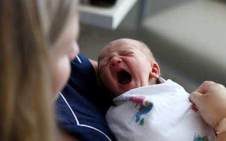 Massachusetts' plan to offer postpartum screening home visits sparks online debate