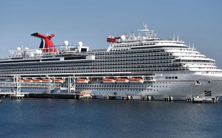 Missing Carnival Panorama passenger jumped overboard off Mexico's coast